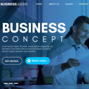 business website